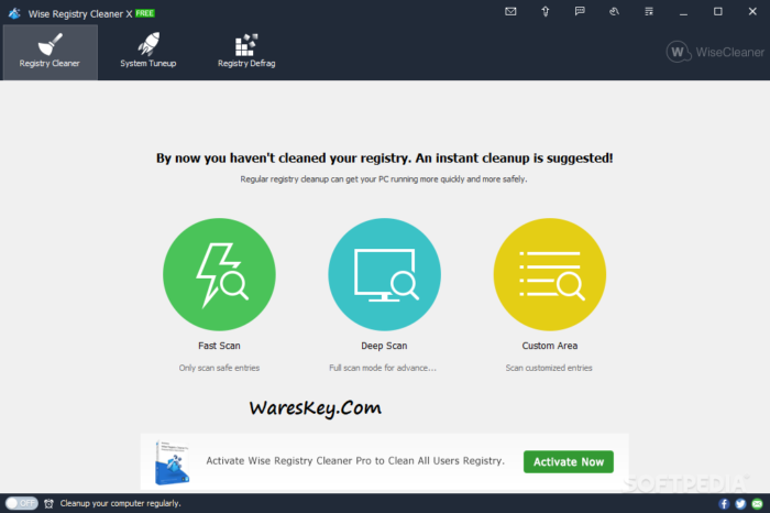 Wise Registry Cleaner Pro 10.6.1.698 C